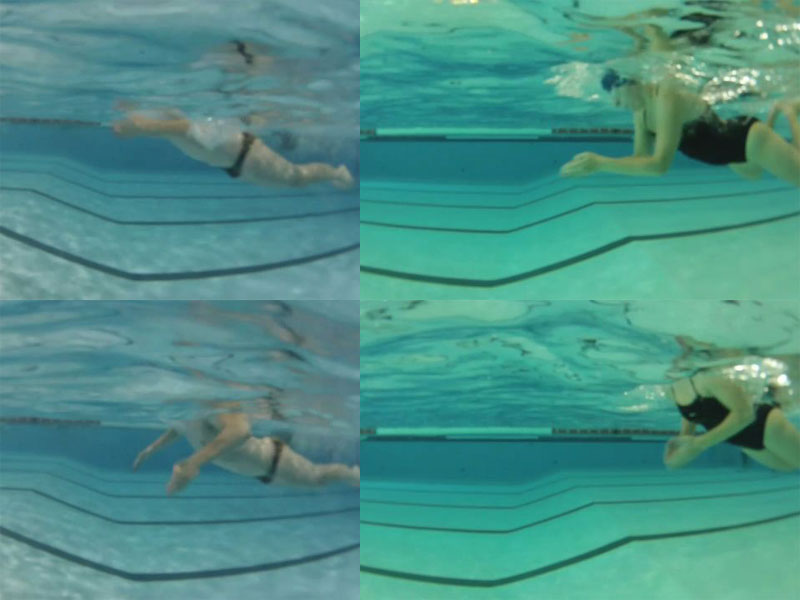 Swim Better